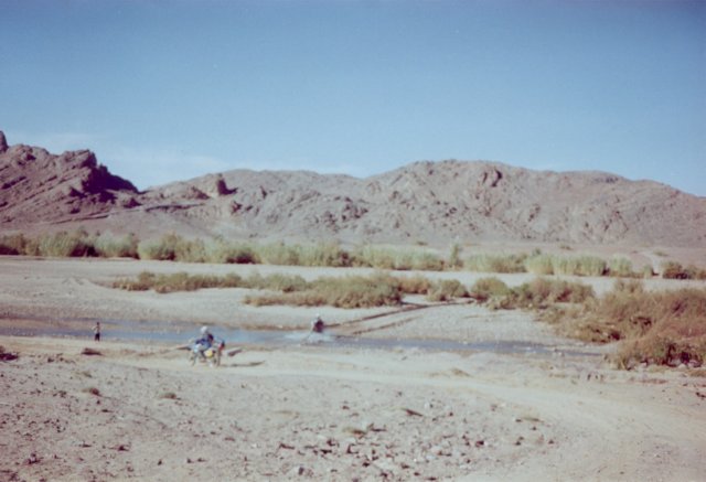 Photograph