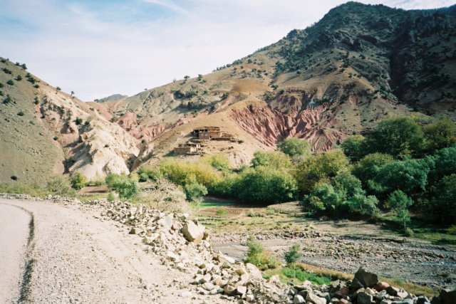 Photograph
