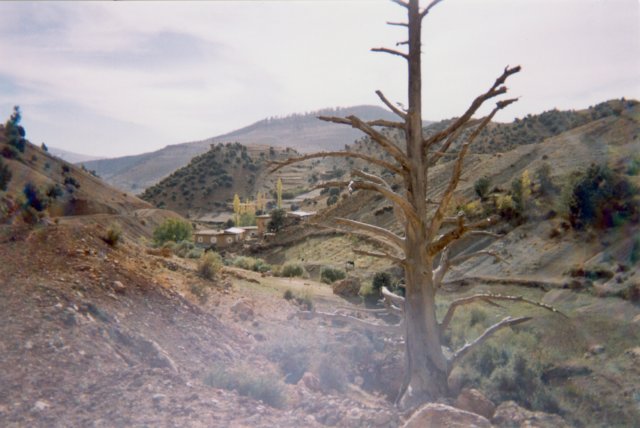 Photograph