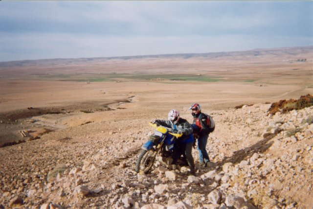 Photograph